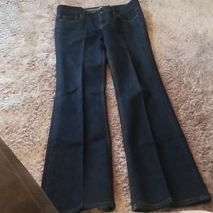 Ann Taylor Loft modern flare